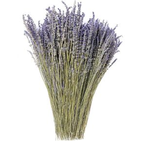 Dried Lavender Flowers Bundles 100% Natural Real Dry Flower for Home Decorations,Home Fragrance 350+ Stems