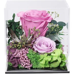 Flowers for Delivery Prime Preserved Rose Gifts for Women, Long-Lasting Real Flowers in Glass Dome,Valentine Day Mothers Day Birthday Gifts for Women Mom Friend(Purple Rose)