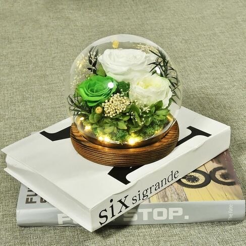 Preserved Flowers Handmade Real Roses in Glass with Light, Gifts for Women Mom Grandma Wife Sister Girlfriend Her Birthday Valentine’s Day Christmas Thanksgiving Mother's Day in Kuwait