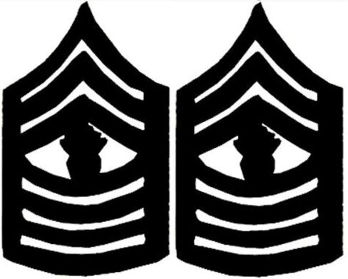 United States Marine Corps Insignia of Rank Pins (Set of Two) in Saudi Arabia