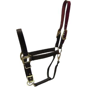 Hamilton 1-Inch Nylon Adjustable Horse Halter with Leather headpoll and Throat Snap, Average Size 800 to 1100-Pound, Green