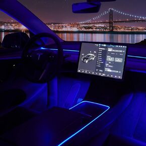 Nestour 2021 2022 2023 Tesla Model 3 Y Interior Car Neon Lights (Center Console+Dashboard+Seat+4 Foot Lights) with Matching Armrest Organizer, Ambient APP-Controlled RGB LED Strip Lights