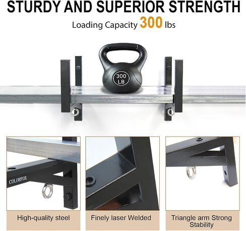 Trailer Ladder Rack,Adjustable Steel Side Mount Ladder Rack for Trailer,with Rubber Pad,Bumper,Hook,Elastic Rope,300 LBS Capacity,for Enclosed Trailer Exterior,Vans,Garages Side Wall(2 Rack) in Saudi Arabia