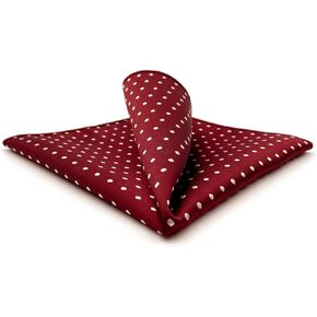 S&W SHLAX&WING Mens Pocket Squares Dotty Dots Multicolored Large for Business