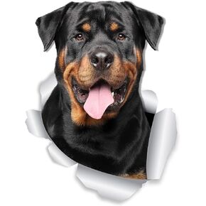 Winston & Bear 3D Friendly Rottweiler Stickers - 2 Pack - Rottweiler Wall Decals - Dog Lover Gifts - Dog Stickers for Bedroom - Fridge - Toilet - Car - Retail Packaged