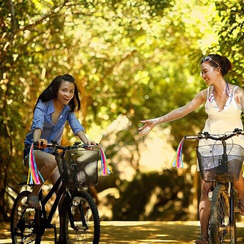 Kids Bike Streamers Scooter Bicycle Handlebar Streamers Colorful Bicycle Tassel Ribbon Bike Accessories Bike Decoration for Boys Girls (1 Pair) in Kuwait