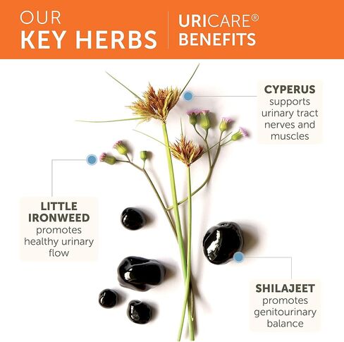 مكمل عشبي Himalaya UriCare، دعم الكلى والمثانة، دعم المسالك البولية وتدفق البول، خالي من الكافيين، غير معدل وراثيًا، خالي من الغلوتين، نباتي، 240 كبسولة، كمية تكفي 60 يومًا in Saudi Arabia
