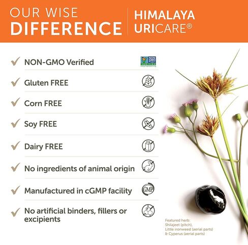 مكمل عشبي Himalaya UriCare، دعم الكلى والمثانة، دعم المسالك البولية وتدفق البول، خالي من الكافيين، غير معدل وراثيًا، خالي من الغلوتين، نباتي، 240 كبسولة، كمية تكفي 60 يومًا in Saudi Arabia