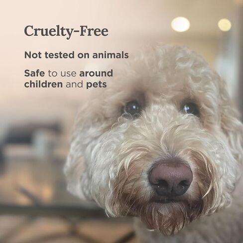 Magnificent 101 Set of 3 Long Lasting Pure Sage Smudge Candles | 42 Hour Burn - 3.5 Oz Each | Made of Soy Wax Candle for House Energy Cleansing, Meditation & Manifestation in Kuwait