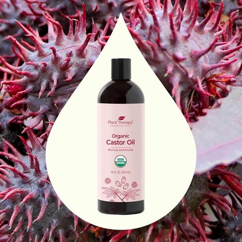 Plant Therapy Castor Oil USDA Organic Cold Pressed 100% Pure Hexane Free 16 oz Conditioning & Healing, For Dry Skin, Hair Growth - Skin, Hair Care, Eyelashes in Saudi Arabia