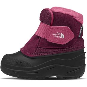 The North Face Toddler Alpenglow II, 9, Boysenberry/TNF Black