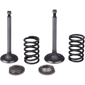 Intake Inlet Exhaust Valve Spring Retainer Set for Honda GX340 GX390 11HP 13HP Gas Engine Motor Generator