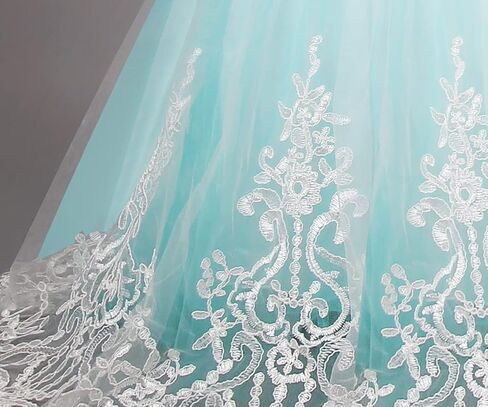 TTYAOVO Girls Embroidery Princess Dress Wedding Birthday Party Long Tail Prom Gowns in Kuwait