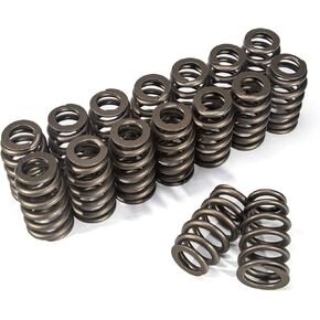 Valve Springs 600" Lift Rated Replace OE PAC-1218 PAC1218 Fit for All LS LS1 LS2 LS3 LS7 Engines After-Market Parts 6 Months Warranty