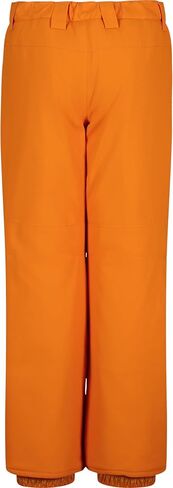 Quiksilver boys Ski Snow Estate Pant, Insulated & Waterproof in Saudi Arabia
