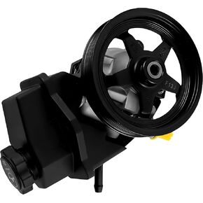 Power Steering Pump 20-69989 with Pulley for 2006-2011 Impala 3.5L, for 2006-2011 Impala 3.9L, for 2006-2007 Monte Carlo 3.5L 3.9L 5.3L, Replace OE 96-69989, 15267585, 88964571