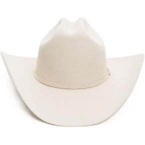 Stetson Men's 6X Skyline Fur Felt Western Hat Silverbelly 8