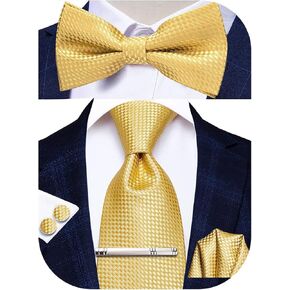 Hi-Tie Men Ties Bowtie Set Woven Silk Necktie Bow Tie and Pocket Square Cufflinks Set with Tie Clip or Flower Lapel Pin
