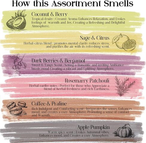 Raajsee Natural Incense Sticks with Insence Holder- Pack of 6 Organic Inscent -120 Insense Sticks, Non Toxic Clean Burning, Boho Gift Set, Sage,Apple Pumpkin,Coconut, Coffee,Rosemary Patchouli in Saudi Arabia
