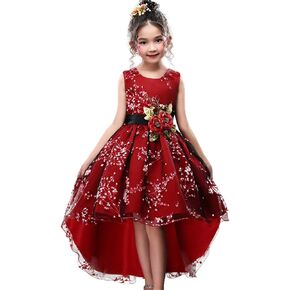 Flower Girls Pageant Dress for Girl Wedding Casual Gowns Age of 10 Dress for Big Girls 11 12 Prom Graduation Girl Dresses Elegant Pageant Party Lace Tulle Gowns Birthday Fancy (PBurgundy, 160)