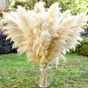 40" 11 PCS Dried Pampas Grass Decor Tall,Large Natural Beige Pampas Grass,pompas Grass,Tall Pampas Grass for Floor Vase,Wedding,Party,Farmhouse,Boho Home Decor,and Creating a Bohemian Ambiance