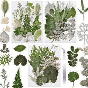 CONVELIFE Dried Flowers for Resin, 103pcs Natural Flowers and Leaves Compressed, Vacuum Packed DIY Pressed Flowers for Epoxy, Jewelry, Candles, Soap, Nail Production
