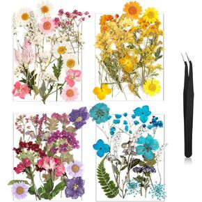 Nuanchu Dried Pressed Flowers for Craft Colorful Real Natural Dried Flowers with Tweezer for Scrapbook Supplies Card Making Resin Jewelry Making DIY(Delicate Style)