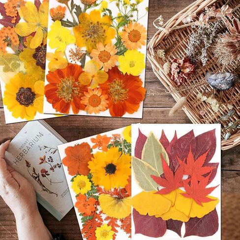 CONVELIFE Dried Flowers for Resin, 103pcs Natural Flowers and Leaves Compressed, Vacuum Packed DIY Pressed Flowers for Epoxy, Jewelry, Candles, Soap, Nail Production in Kuwait