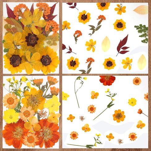 CONVELIFE Dried Flowers for Resin, 103pcs Natural Flowers and Leaves Compressed, Vacuum Packed DIY Pressed Flowers for Epoxy, Jewelry, Candles, Soap, Nail Production in Kuwait