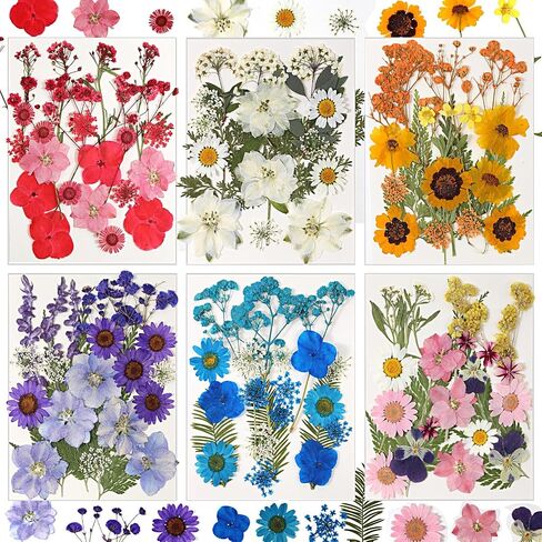 CONVELIFE Dried Flowers for Resin, 103pcs Natural Flowers and Leaves Compressed, Vacuum Packed DIY Pressed Flowers for Epoxy, Jewelry, Candles, Soap, Nail Production in Kuwait
