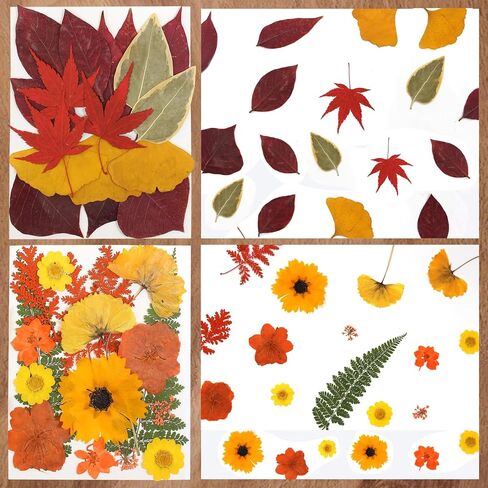 CONVELIFE Dried Flowers for Resin, 103pcs Natural Flowers and Leaves Compressed, Vacuum Packed DIY Pressed Flowers for Epoxy, Jewelry, Candles, Soap, Nail Production in Kuwait