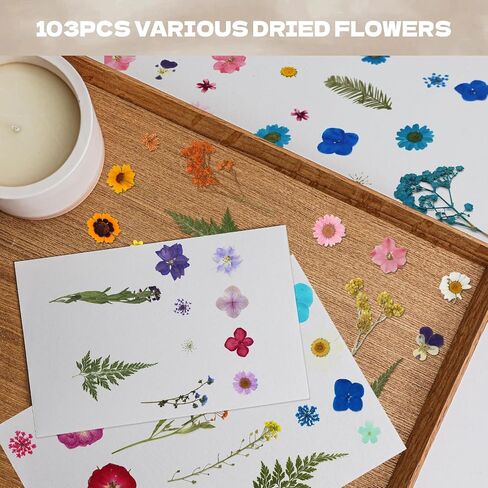 CONVELIFE Dried Flowers for Resin, 103pcs Natural Flowers and Leaves Compressed, Vacuum Packed DIY Pressed Flowers for Epoxy, Jewelry, Candles, Soap, Nail Production in Kuwait