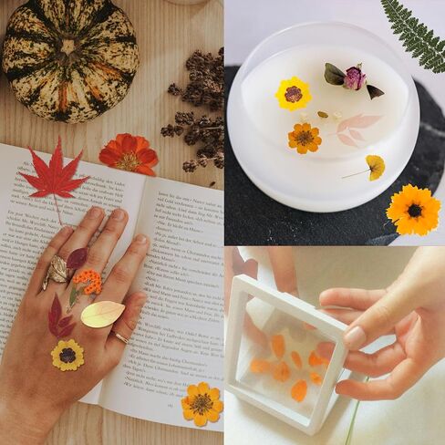 CONVELIFE Dried Flowers for Resin, 103pcs Natural Flowers and Leaves Compressed, Vacuum Packed DIY Pressed Flowers for Epoxy, Jewelry, Candles, Soap, Nail Production in Kuwait