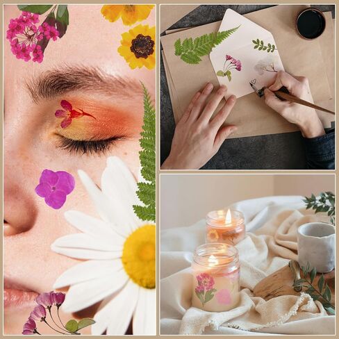 CONVELIFE Dried Flowers for Resin, 103pcs Natural Flowers and Leaves Compressed, Vacuum Packed DIY Pressed Flowers for Epoxy, Jewelry, Candles, Soap, Nail Production in Kuwait