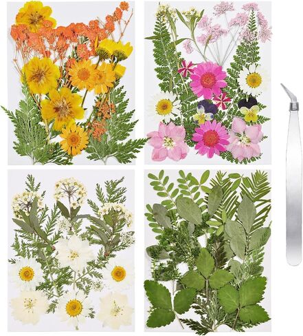 CONVELIFE Dried Flowers for Resin, 103pcs Natural Flowers and Leaves Compressed, Vacuum Packed DIY Pressed Flowers for Epoxy, Jewelry, Candles, Soap, Nail Production in Kuwait