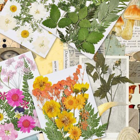 CONVELIFE Dried Flowers for Resin, 103pcs Natural Flowers and Leaves Compressed, Vacuum Packed DIY Pressed Flowers for Epoxy, Jewelry, Candles, Soap, Nail Production in Kuwait