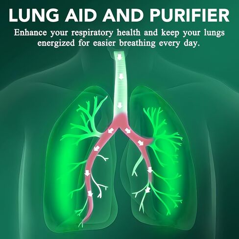 Mullein Drops for Lungs, Mullein Leaf Extract for Lungs Organic Mullein Leaf Extract Drops with Chlorophyll for Lungs 60ml (2.02 Fl Oz (Pack of 1)) in Saudi Arabia
