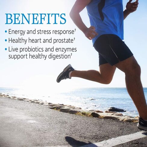 Garden of Life Multivitamin for Men, Vitamin Code Raw One - Once Daily, Vitamins Plus Fruit, Veggies & Probiotics, 75 Count in Kuwait