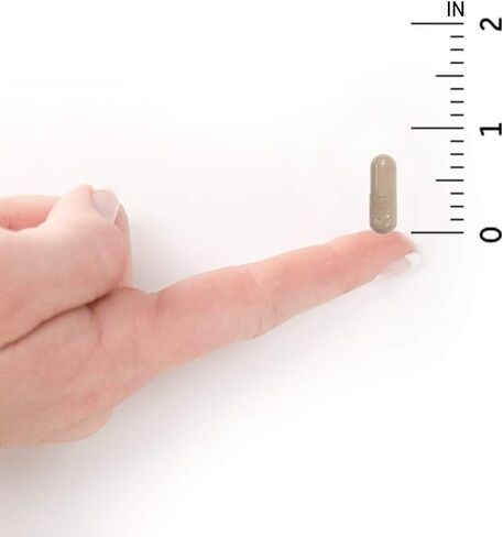 Garden of Life Multivitamin for Men, Vitamin Code Raw One - Once Daily, Vitamins Plus Fruit, Veggies & Probiotics, 75 Count in Kuwait