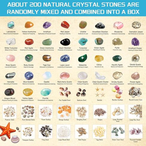 200Pcs+ Natural Crystals Stones Set & Healing Crystal Set Rock Collection -Raw Stones & Geodes & Tumbled Stones Set for Decoration Chakra Reiki Gift Balancing Energy Kids Beginners in Saudi Arabia