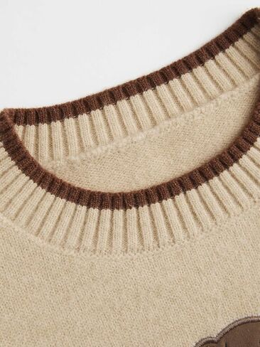 CIDER Womens Sweaters Fall Long Sleeve Bear Graphic Crewneck Sweater Soft Knit Casual Cropped Pullover Cute Fall Outfits 2024 in Kuwait