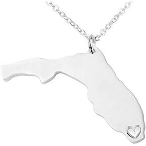 Art Attack Stainless Steel I Love Florida Necklace, Sunshine State 305 Gator Seminole Keys University Heart Map Pendant (Silver)