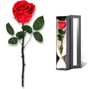 Christmas Rose Flower Gifts for Mom from Daughter and Son, Mom Gifts for Grandma, Unique Birthday Gifts for Women, Preserved Rose, Preserved Flowers for Delivery Prime, Single Rose Real Rose - Red