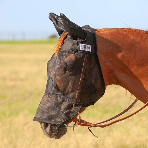 Cashel Quiet Ride Horse Fly Mask with Long Nose and Ears, Black, Horse in Saudi Arabia