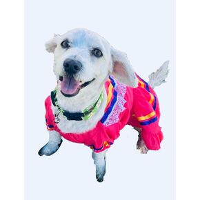 Escaramuza dog dress/Mexican dog dress (Large, Pink) in Kuwait