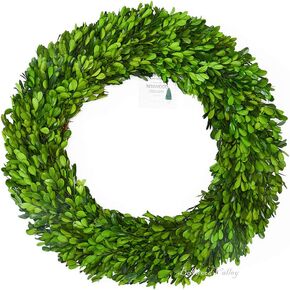 20 inch X-Large Preserved Boxwood Wreath, Wedding Home Decoration Full Green Real Boxwood Wreath, Indoor Décor for Halloween, Christmas Wreath (Wreath, 20")