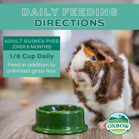 Oxbow Essentials Young Guinea Pig Food - All Natural Guinea Pig Pellets - 5 lb. in Saudi Arabia