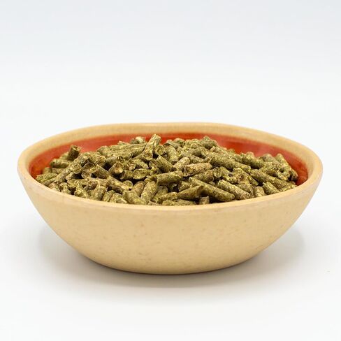 Oxbow Essentials Young Guinea Pig Food - All Natural Guinea Pig Pellets - 5 lb. in Saudi Arabia