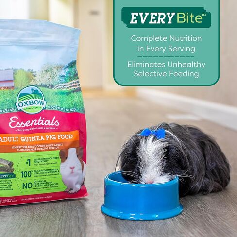 Oxbow Essentials Young Guinea Pig Food - All Natural Guinea Pig Pellets - 5 lb. in Saudi Arabia