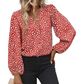Long Sleeve Blouses for Women, Leopard Print Chiffon Tops V Neck Loose Business Shirts Casual Work Tunic